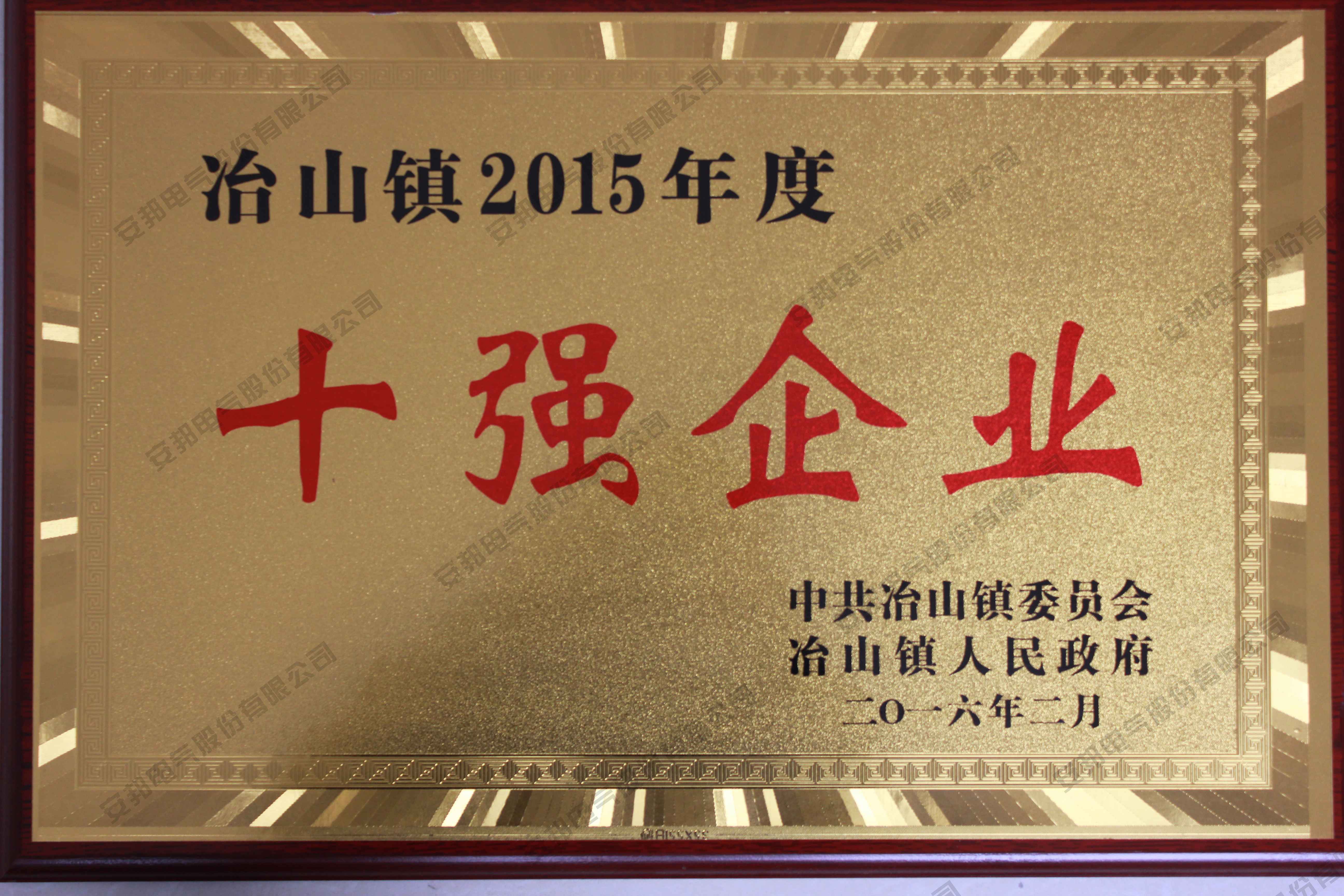 2015年度十強企業(yè)